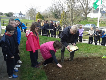 Planting our School Garden 2014