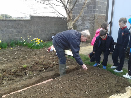 Planting our School Garden 2014