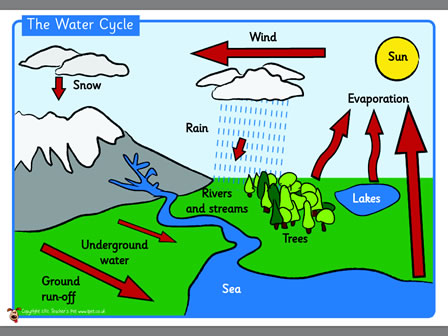 The Water Cycle